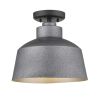 Barnes 1-Light Gray Convertible Pendant