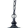 Matte Black Cage Hanging Light