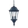 Two Light Matte Black Carousel Lantern Hanging Light