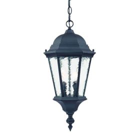 Two Light Matte Black Carousel Lantern Hanging Light