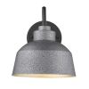 Barnes 1-Light Gray Wall Light