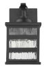 Glass panel Matte Black Outdoor Cage Light