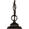Antique Black Textured Glass Lantern Hanging Light