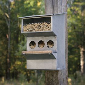 Backyard Buddies Bird Feeder