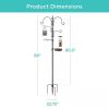 Complete Bird Feeder Set with Black Metal Stand and Bird Feeders