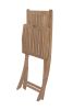 Tropico Folding Chair - Set of 2