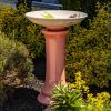 24" Tall Porcelain Birdbath with Hand Painted Flowers & Hummingbird "Charlotte"