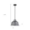 Barnes 1-Light Gray Convertible Pendant