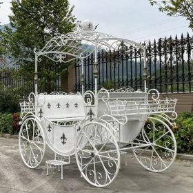 "Antoinette" Large Parisian Style Iron Carriage with Planters (Colors_Zaer: Antique White)