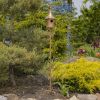 64.75" Tall Iron Birdhouse Stake "Chelsea"